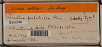 Image Associated With the Occurence